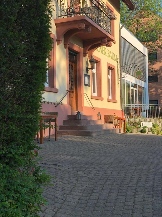 Hotel & Restaurant Gruener Baum Merzhausen Buitenkant foto