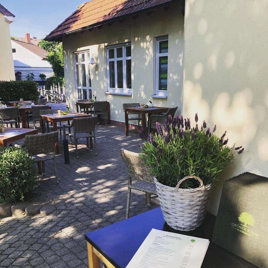 Hotel & Restaurant Gruener Baum Merzhausen Buitenkant foto